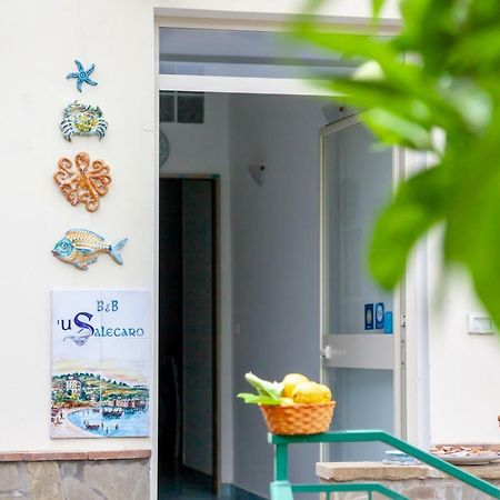 'U Salecaro Agropoli Exterior foto